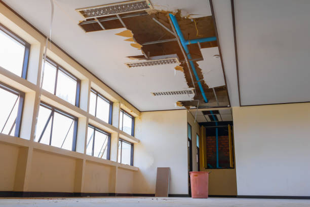  Battlefield, MO Water damage restoration Pros