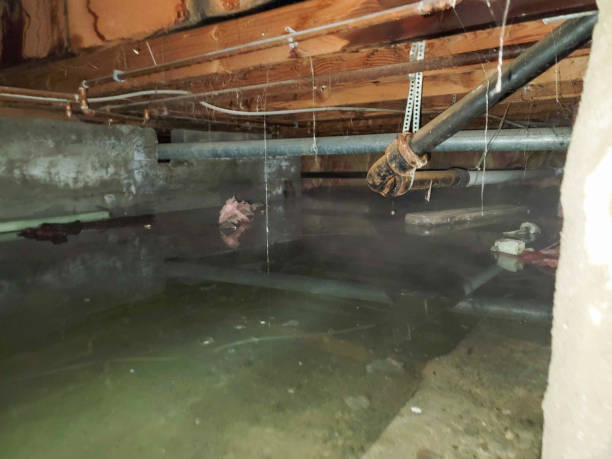 Best Residential water damage restoration  in Battlefield, MO