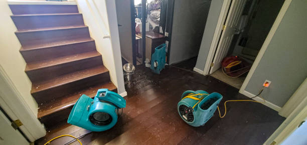 Best Flood restoration services  in Battlefield, MO