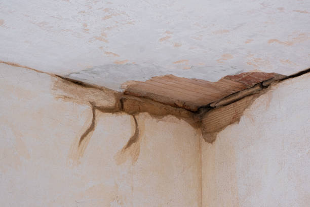 Best Basement water damage restoration  in Battlefield, MO