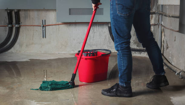 Best 24/7 water damage repair  in Battlefield, MO