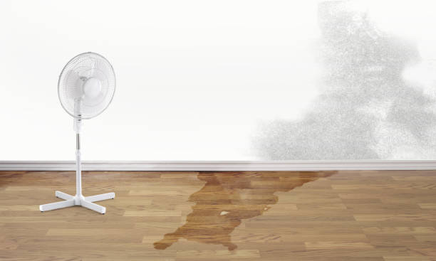 Best Water damage cleanup near me  in Battlefield, MO