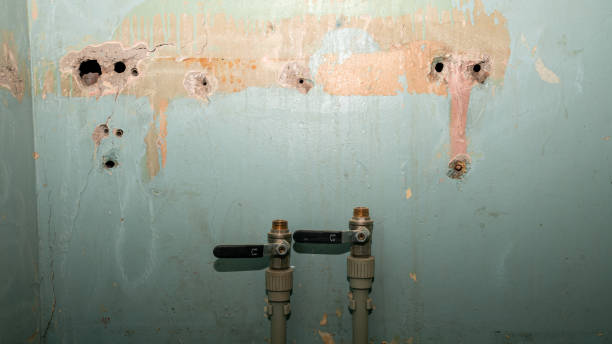 Best Local water damage restoration  in Battlefield, MO