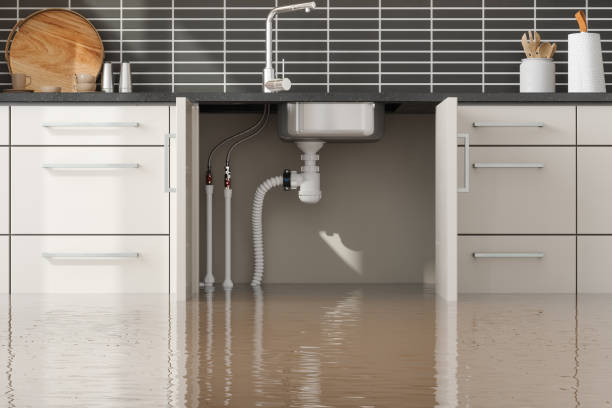 Best Water damage contractors near me  in Battlefield, MO