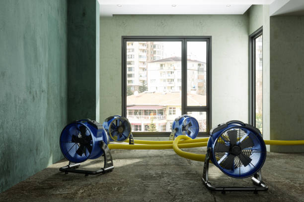 Best Water damage cleanup near me  in Battlefield, MO